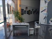 SENSE BARRERES REANUDA  SU ACTIVIDAD PRESENCIAL Sense Barreres