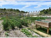 Petrer abre una nueva convocatoria para adjudicar los huertos ecológicos de Ferrussa Huertos urbanos Petrer 2020