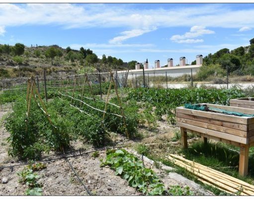 Petrer abre una nueva convocatoria para adjudicar los huertos ecológicos de Ferrussa Huertos urbanos Petrer 2020
