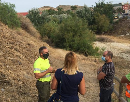 Petrer realiza una actuación extraordinaria en los más de 15.000 m² de la Rambla de Puça desde el Puente del Guirney hasta el Puente de Felipe V Rambla de Puça a su paso por Petrer urbana