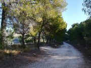Cierre del camino de Catí a Catxuli debido a la masificación de visitantes y vehículos Camino de Catí a Catxuli