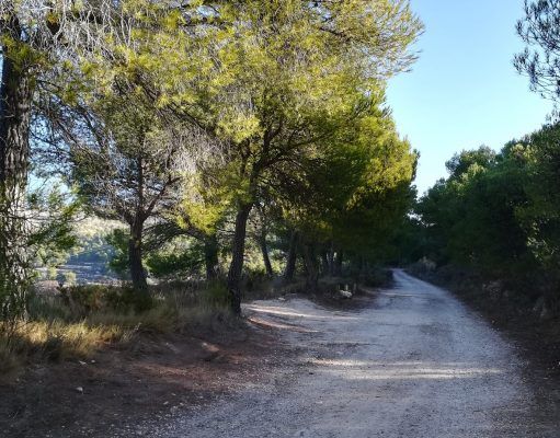Cierre del camino de Catí a Catxuli debido a la masificación de visitantes y vehículos Camino de Catí a Catxuli