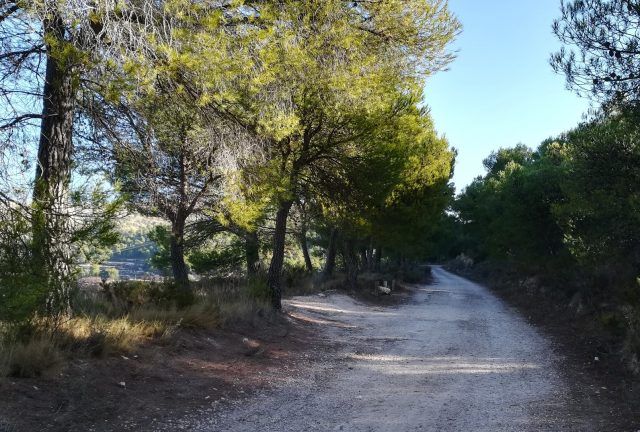 Camino de Catí a Catxuli