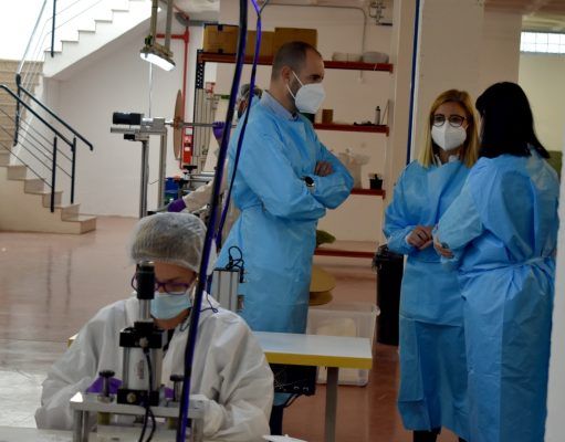 Una empresa marroquinera de Petrer pone en marcha una fábrica de mascarillas con 15 nuevos trabajadores