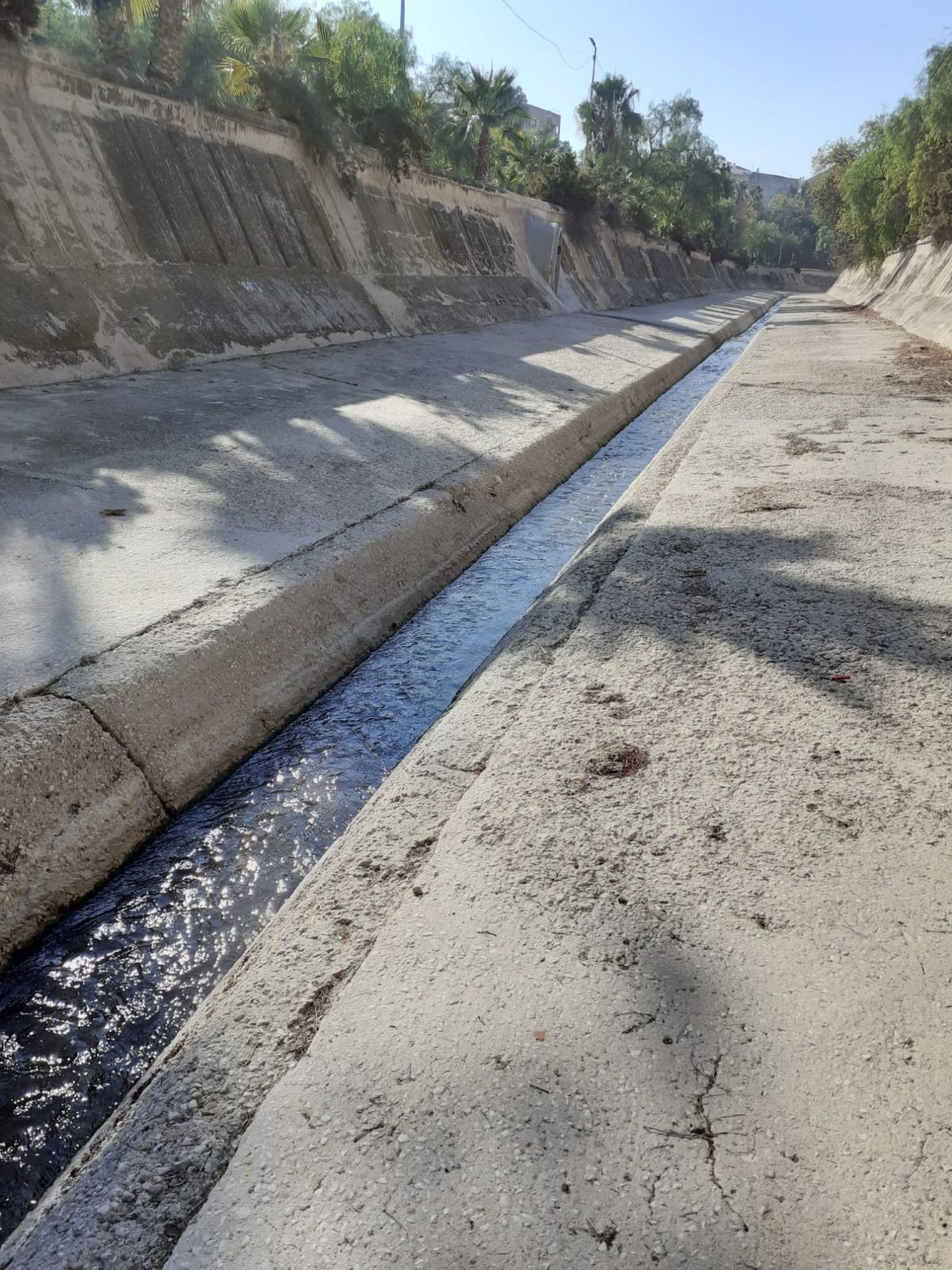 Limpieza del cauce del río Vinalopó