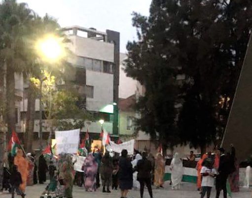 CIUDADANOS ELDA solicita que se desconvoque cualquier reivindicación pública presencial mientras dure el estado de alarma. Concentración en favor del pueblo saharaui