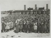 Apoyo al manifiesto en memoria de las víctimas del Holocausto y por la tolerancia y el respeto – Grupos municipales Petrer Concentración de prisioneras enfrente de las cocinas en Auschwitz -Wikipedia