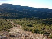 Siete horas perdidos en la zona de l’Avaiol detrás de un palomo, la Policía Local de Petrer localiza a un colombicultor de Villena y a su pareja l’Avaiol