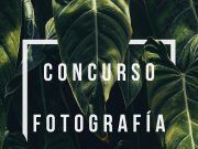 Cientos de plantones en los centros educativos para que los alumnos y las alumnas celebren el Día del Árbol Concurso de fotografía botánica en Instagram en el día del árbol 2021 en Elda