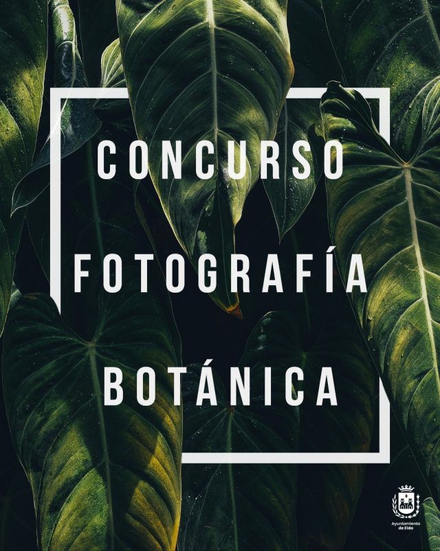 Concurso de fotografía botánica en Instagram en el día del árbol 2021 en Elda