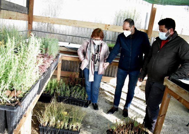 Plantones para el día del Árbol en Petrer 2021