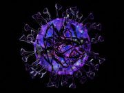 Sanidad detecta tres casos de la cepa sudafricana de la COVID-19 en la Comunitat Valenciana Virus - Simulación