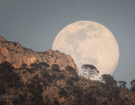 CAMINANDO BAJO LA LUNA SIERRA DEL CID PETRER | Jordi L. Coy Foto | LA FOTO DEL DÍA CAMINANDO BAJO LA LUNA SIERRA DEL CID PETRER - Jordi L. Coy Foto