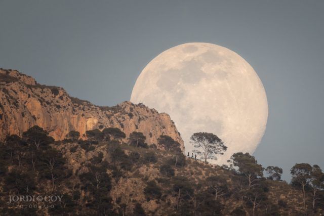 CAMINANDO BAJO LA LUNA SIERRA DEL CID PETRER - Jordi L. Coy Foto