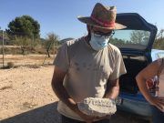 Concluyen las excavaciones arqueológicas en la alquería de Puça, en Petrer, con importantes hallazgos Concluyen las excavaciones arqueológicas en la alquería de Puça con importantes hallazgos