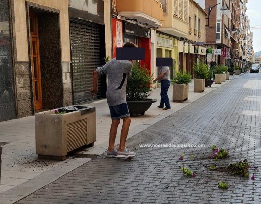 Un hombre arranca flores y plantas de maceteros ornamentales en el centro de Elda Hombre destrozando jardinería en Elda