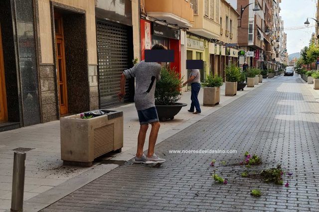 Hombre destrozando jardinería en Elda