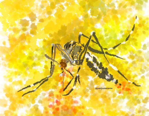 Sanidad destina 350.000 euros en ayudas a municipios para el tratamiento de lucha contra el mosquito tigre en la Comunitat Valenciana Mosquito tigre