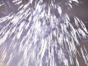 El Ayuntamiento ultima el dispositivo de seguridad para Fiestas Mayores, un dispositivo especial se pondrá en marcha para la Palmera y la Alborada Palmera - Fiestas Mayores Elda @juanjustamante foto