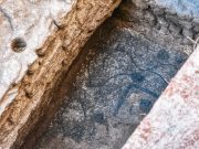 Sale a la luz un mosaico romano del siglo IV en Petrer, durante unas excavaciones arqueológicas Mosaico romano del siglo IV en Petrer