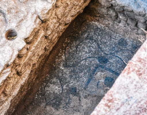 Sale a la luz un mosaico romano del siglo IV en Petrer, durante unas excavaciones arqueológicas Mosaico romano del siglo IV en Petrer