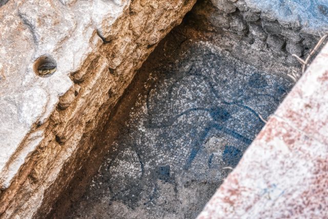 Mosaico romano del siglo IV en Petrer