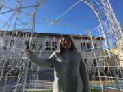 Petrer encenderá la Navidad con un árbol más de 13 metros de altura Petrer encenderá la Navidad con un árbol más de 13 metros de altura