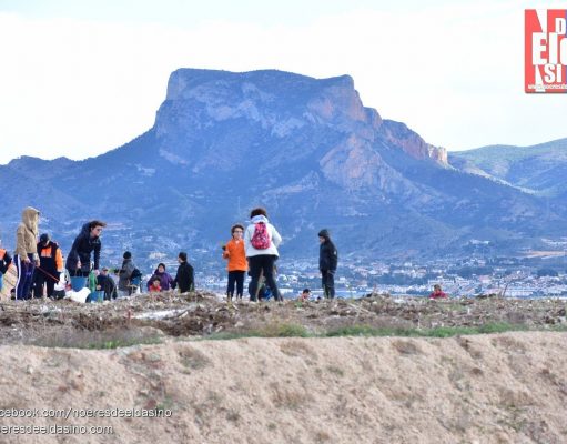 El 6 de febrero se recupera en Elda la celebración del Día del Árbol con una plantación de cientos de ejemplares en la antigua escombrera de Bolón Día del Árbol Elda - Archivo - Juan Justamante foto