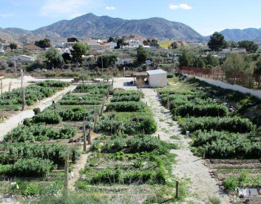 La Concejalía de Medio Ambiente de Elda abre el plazo para la solicitud de las 37 parcelas de los Huertos Ecológicos Municipales Huertos Ecológicos Municipales de Elda