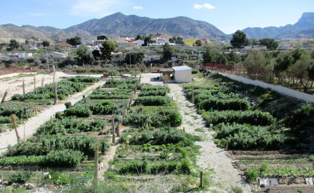 Huertos Ecológicos Municipales de Elda