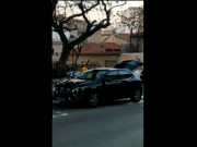 La Policía Local de Petrer pide colaboración para identificar un presunto caso de maltrato animal lanzando una paloma al aire atada a una cuerda La Policía Local de Petrer pide colaboración