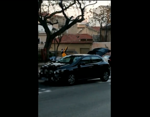 La Policía Local de Petrer pide colaboración para identificar un presunto caso de maltrato animal lanzando una paloma al aire atada a una cuerda La Policía Local de Petrer pide colaboración