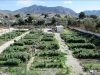 Abierto el plazo para solicitar parcelas en los Huertos Municipales Ecológicos de Elda Huertos ecológicos municipales de Elda