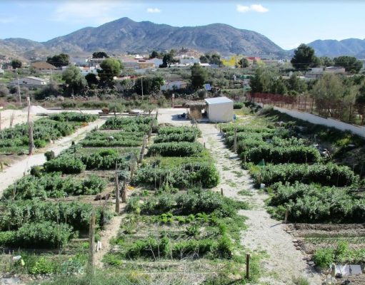 Abierto el plazo para solicitar parcelas en los Huertos Municipales Ecológicos de Elda Huertos ecológicos municipales de Elda