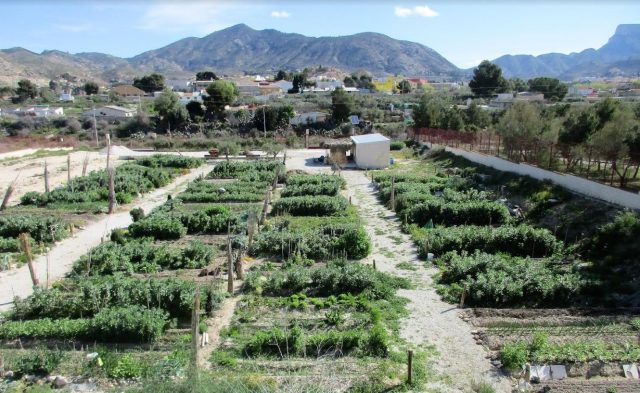 Huertos ecológicos municipales de Elda