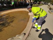 La Mancomunidad renueva el servicio de control de plagas en Elda, Petrer, Monóvar y Sax para los dos próximos años Control de plagas en parques