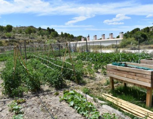Abierto el plazo de solicitud de parcelas en los huertos populares de Ferrusa en Petrer Huertos populares Ferrusa - Petrer