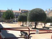 Petrer cierra el Jardín Maria Moliner tras detectar un gran número de avispas excavadoras de tierra (AET) Jardín Maria Moliner de Petrer