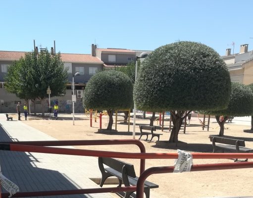 Petrer cierra el Jardín Maria Moliner tras detectar un gran número de avispas excavadoras de tierra (AET) Jardín Maria Moliner de Petrer