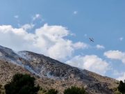 Incendio forestal en Petrer – Alicante Incendio forestal Petrer 17-08-2022