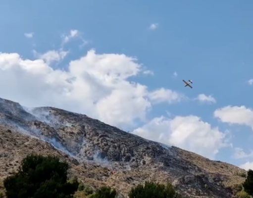 Incendio forestal en Petrer – Alicante Incendio forestal Petrer 17-08-2022