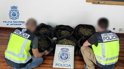 Marihuana en cogollos incautada