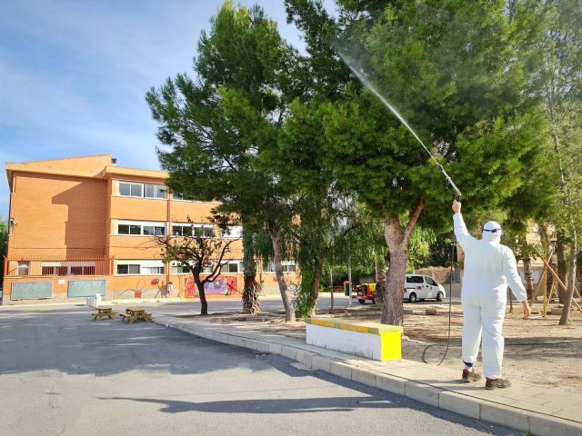 Tratamiento preventivo contra la procesionaria en los jardines y los centros escolares de Elda