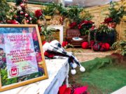 Haz gratis tu propia postal navideña en el photocall de navidad que hay en el Mercado Central de Elda PHOTOCALL EN EL MERCADO CENTRAL DE ELDA