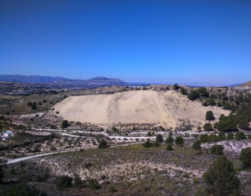 La UA identifica 49 especies de arañas en el Arenal de Petrer El Arenal de l’Almorxó fue declarado Paraje Natural Municipal