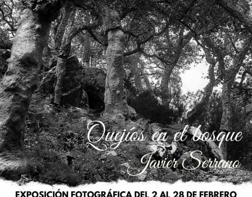 El fotógrafo y poeta Javier Serrano presenta en el Museo del Calzado de Elda una apasionante exposición llena de cultura y tradición