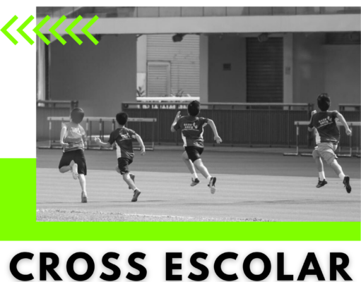 Más de 1.000 alumnos y alumnas de todos los centros educativos de Elda participarán en una nueva edición del Cross Escolar en La Sismat