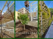 50 nuevos árboles, plantas arbustivas y espacios verdes en el entorno de la Plaza del Zapatero de Elda 50 nuevos árboles, plantas arbustivas y espacios verdes en el entorno de la Plaza del Zapatero de Elda