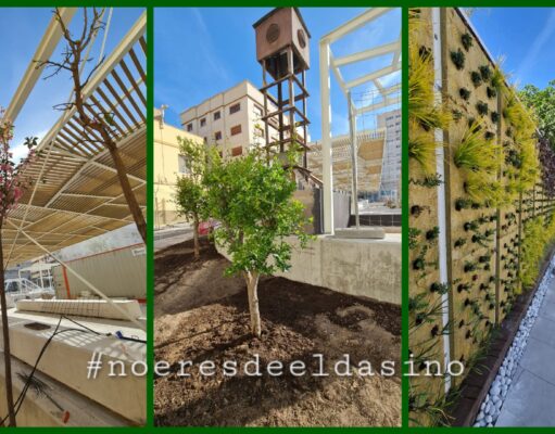 50 nuevos árboles, plantas arbustivas y espacios verdes en el entorno de la Plaza del Zapatero de Elda 50 nuevos árboles, plantas arbustivas y espacios verdes en el entorno de la Plaza del Zapatero de Elda