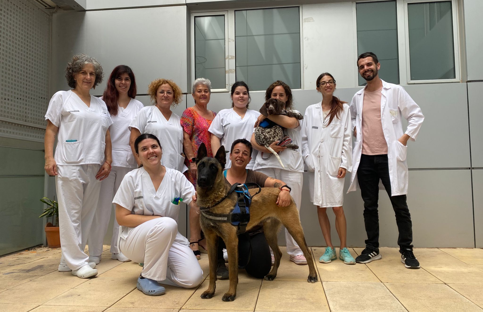 Caninoterapia para los pacientes de Salud Mental del Hospital General de Elda 